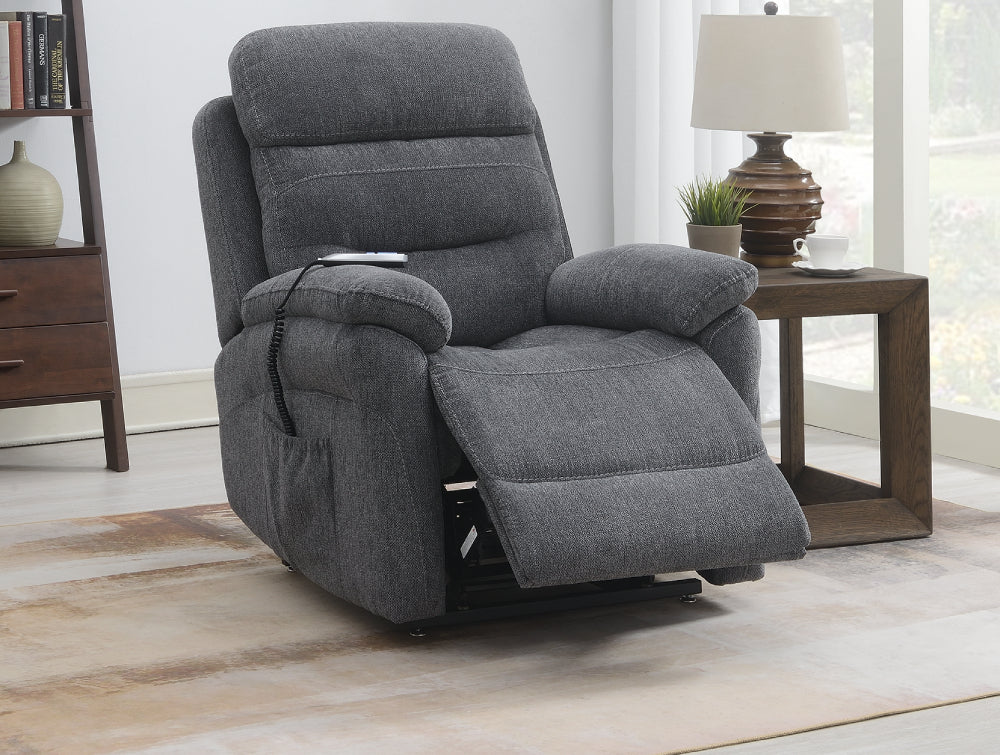 Arlo Rise and Tily Chair Dark Grey with Lampshade and Indoor Plant in Living Room Setting