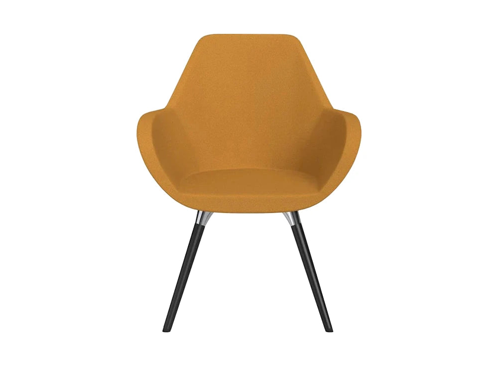 Fan Armchair With Wooden Legs Model 10Hw Pro Fan10Hw Wood H5 Ev 18