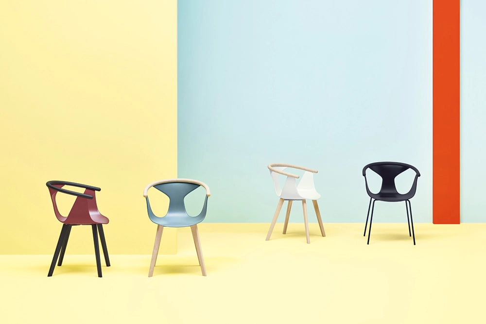 Fox Dining Chair with Armrests Family in Studio Setting 2