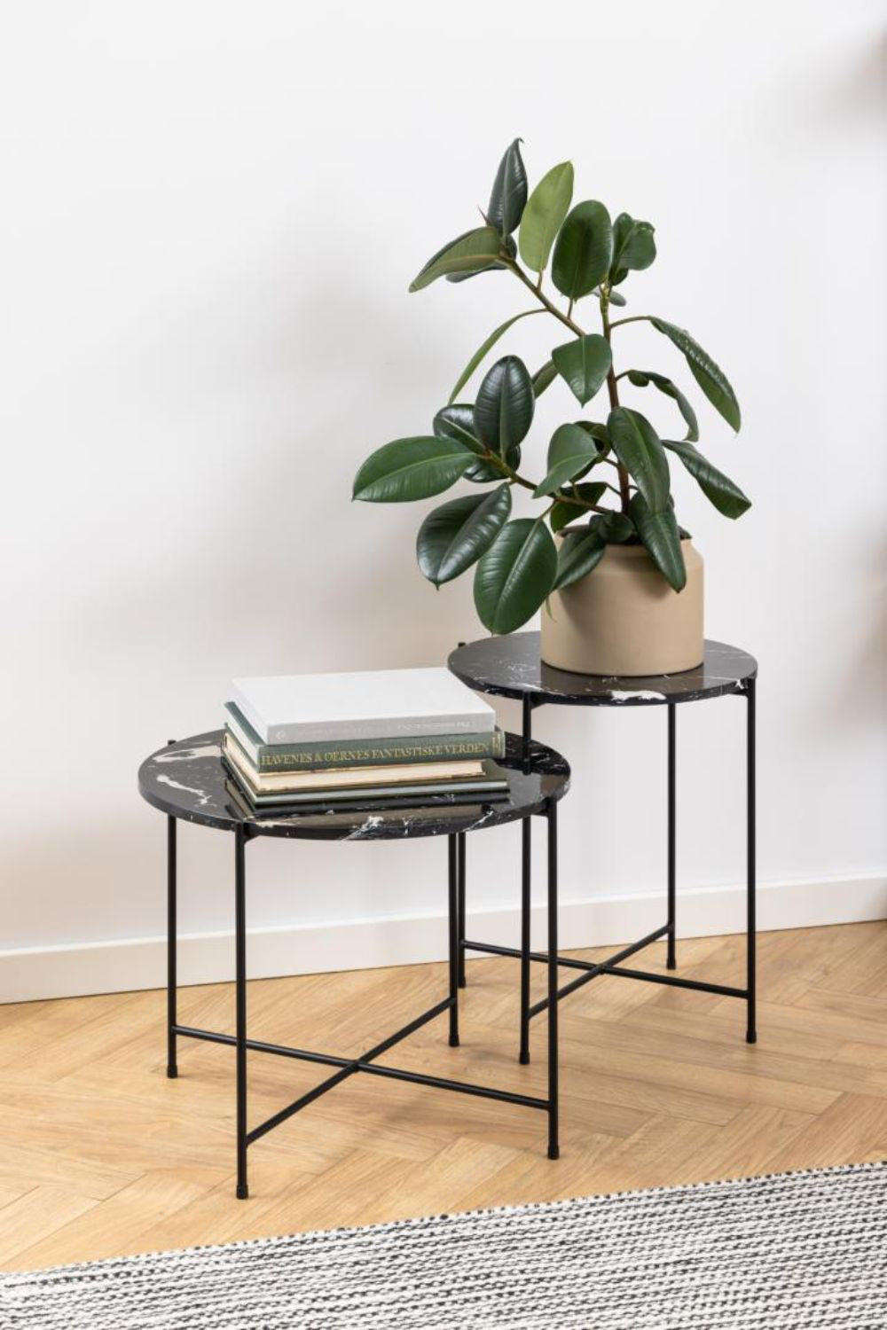 Harlie Marble Top Side Table in Black Finish with Indoor Plant in Living Room Setting