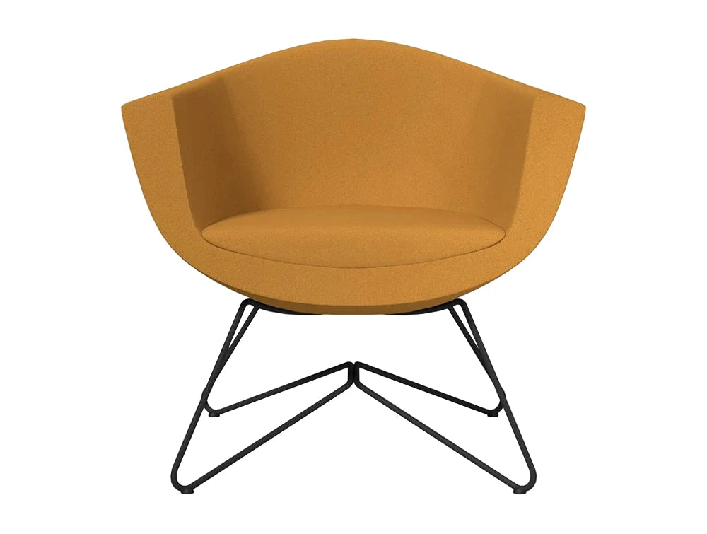 Sorriso Wire Frame Armchair Model 10V