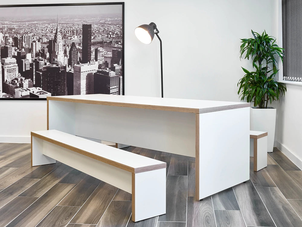 Trestan Rectangular Bench in White Finish with Black Floor Lamp and White Plant Pot