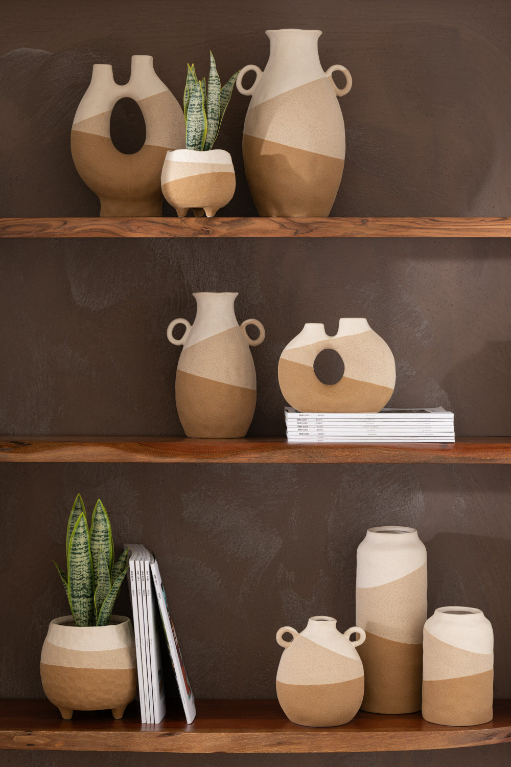 Beige Ceramic Organic Large Vase with Plant and Books in the Bookshelf