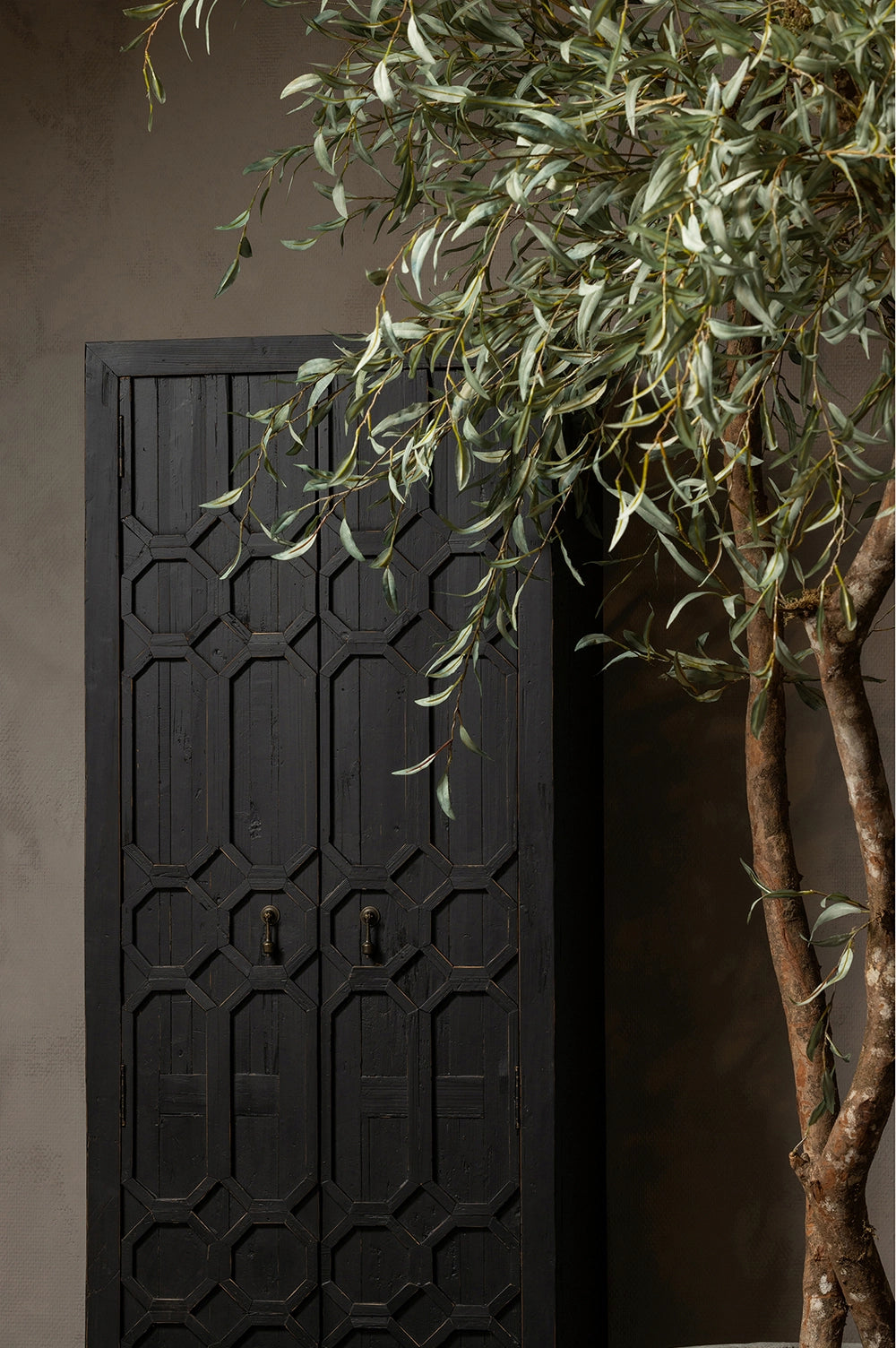 Bella Tall Cabinet in Black Finish with Indoor Plant
