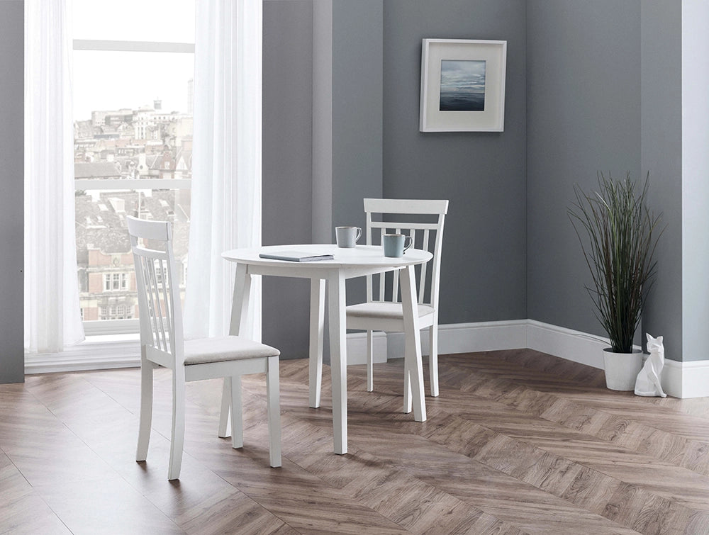 Burren Dining Chair in White Finish with Wooden Table and Indoor Plant in Dining Setting