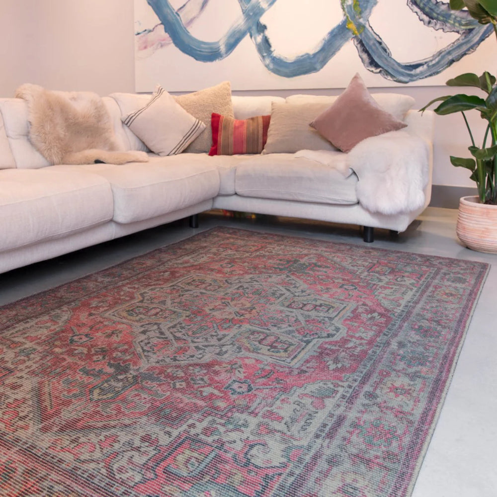 Cayen Iman Vintage Rug with Indoor Plant and Corner Sofa in Living Room Setting