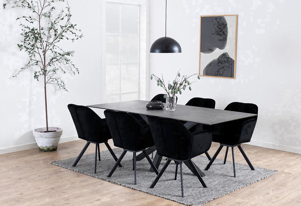 Evan Rectangular Dining Table Black with Carpet and Indoor Plant in Dining Setting
