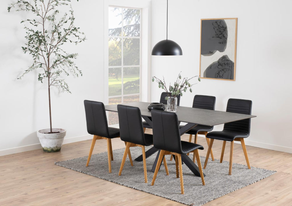 Evan Rectangular Dining Table Black with Chair and Indoor Plant in Dining Setting