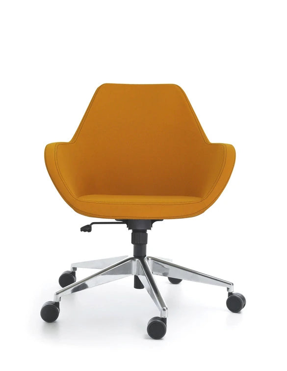 Fan Armchair With Cantilever Legs   Model 10V 17