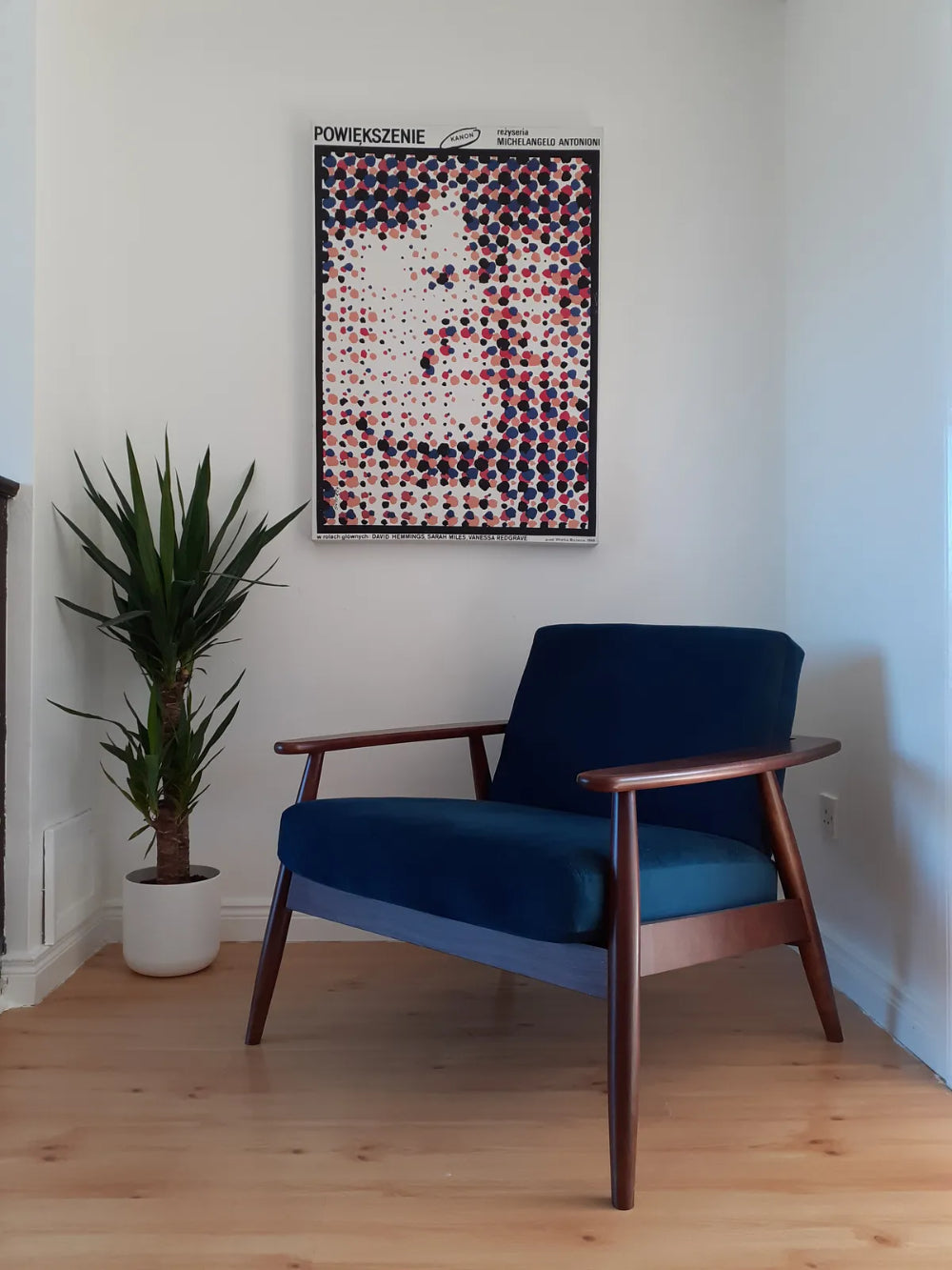 Felix Accent Chair Blue and Dark Oak Finish with Indoor Plant in Living Room Setting