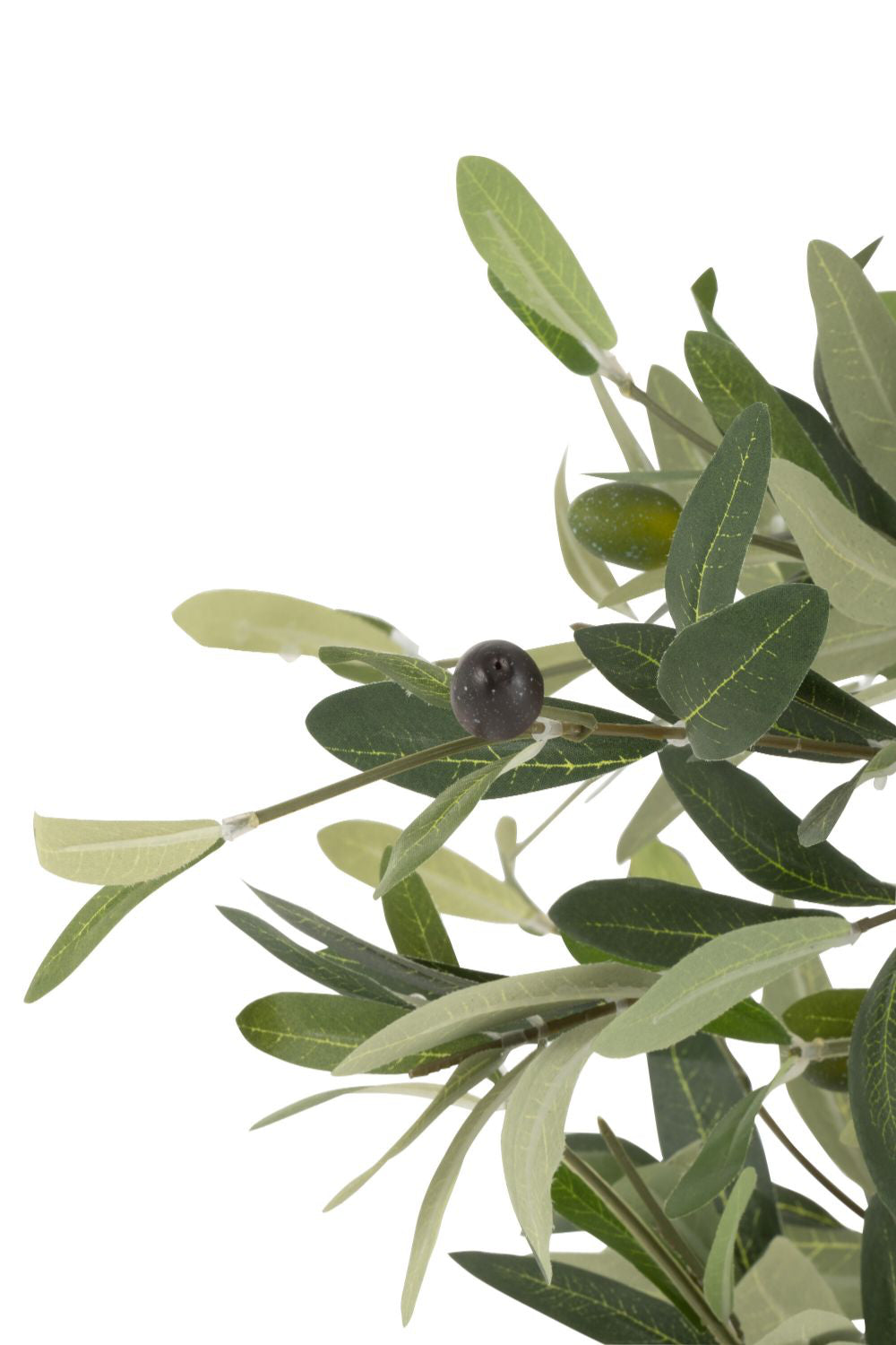 Olive Plastic In Pot Plant Large Leaves Detail