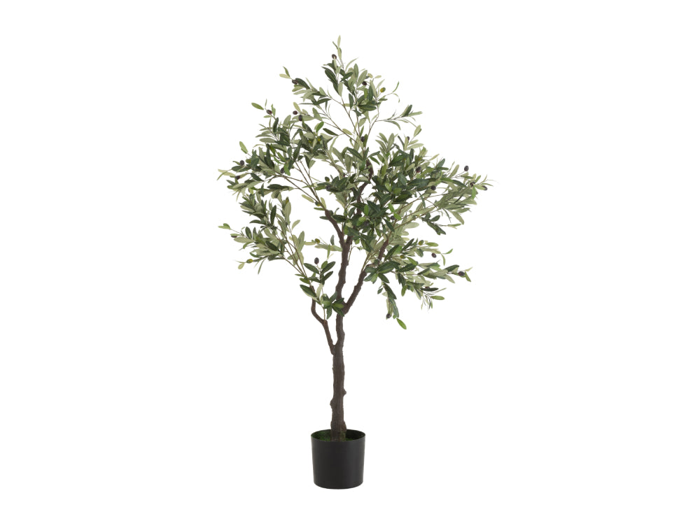 Olive Plastic In Pot Plant Large