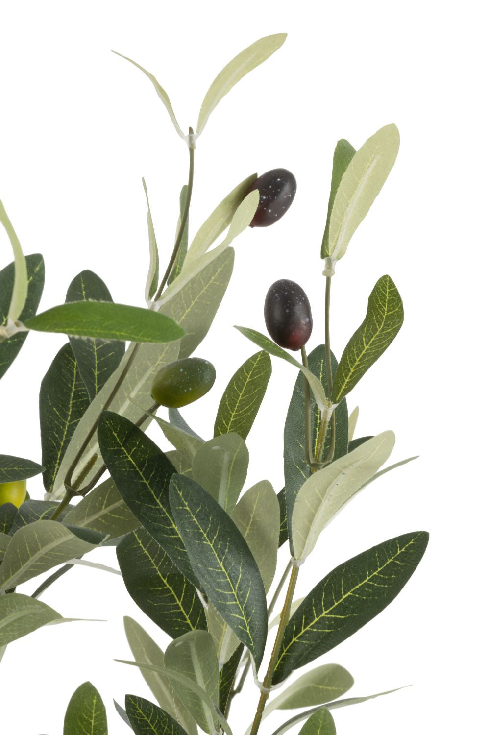 Olive Plastic In Pot Plant Medium Leaves Detail