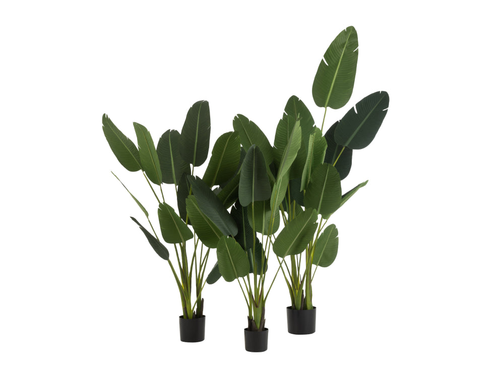 Sterlitzia Synthetic Green Plant Large 2