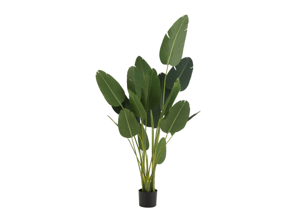 Sterlitzia Synthetic Green Plant Large