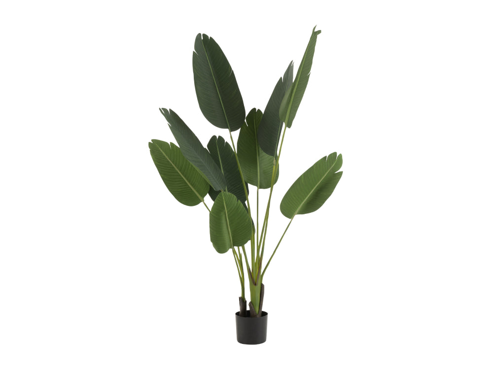 Sterlitzia Synthetic Green Plant Small