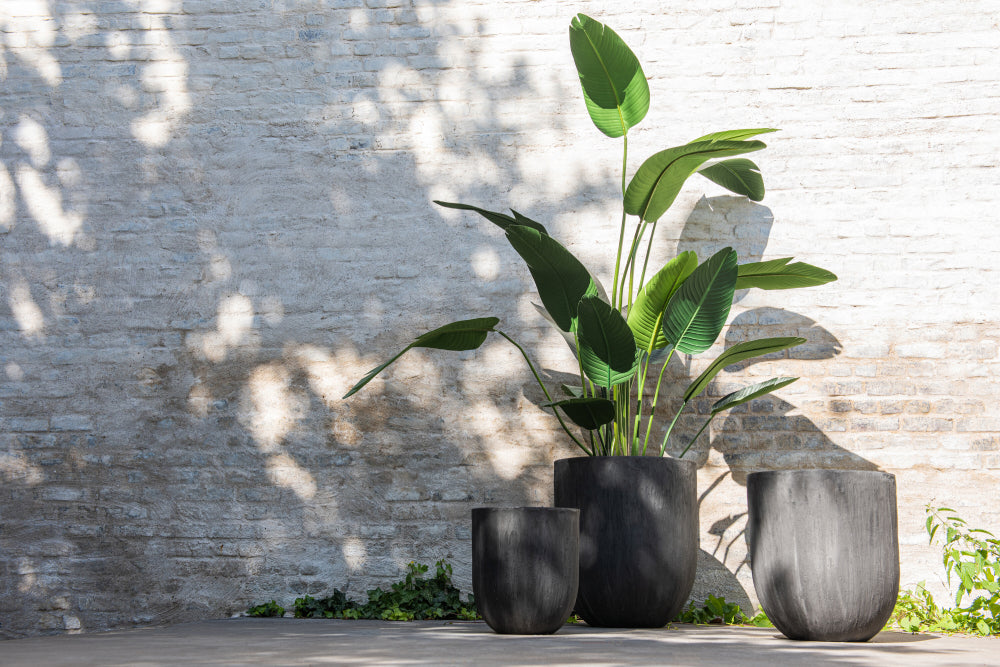 Sterlitzia Synthetic Green Plant with Black Clay Pot in Outdoor Setting