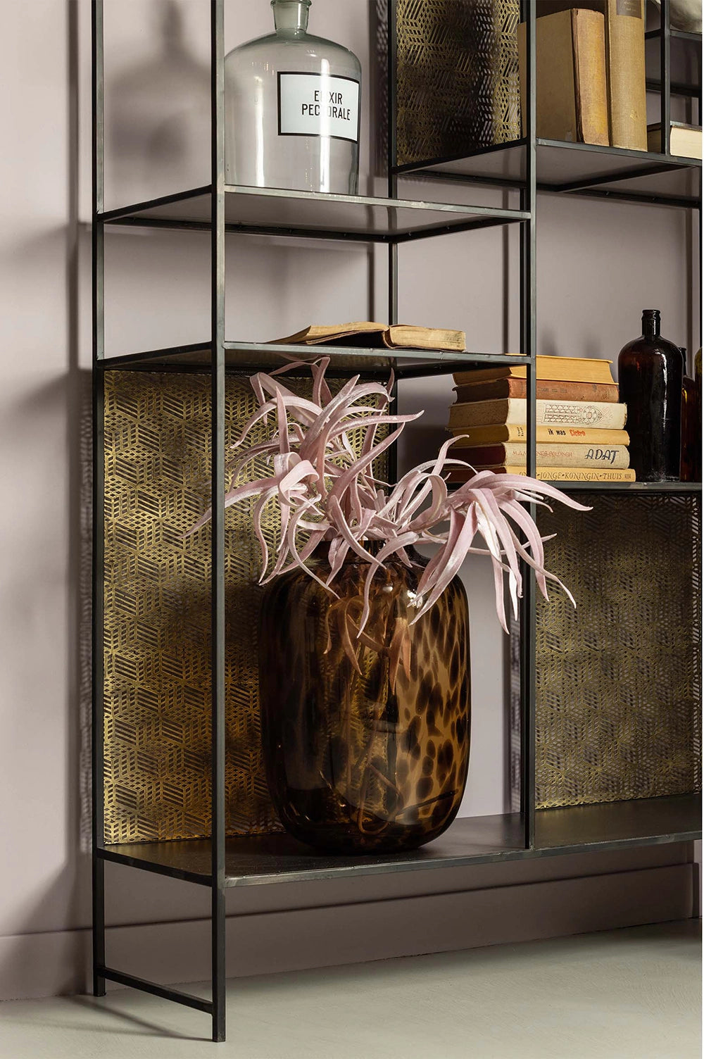 Viktor Display Cabinet in - Black/Antique Brass Finish with Bottle and Books in Living Room Setting